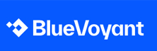 BlueVoyant - Array BlueVoyant